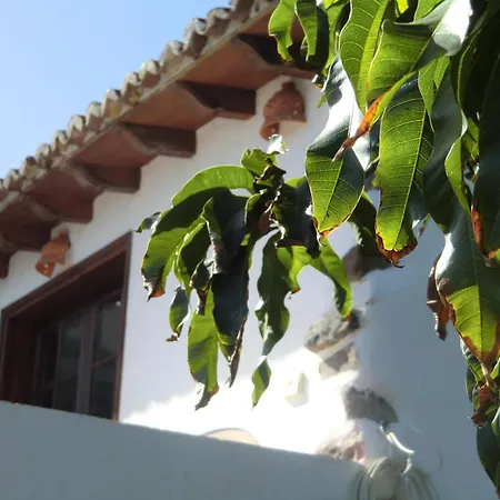 Villa Delfines - Adults Only-2